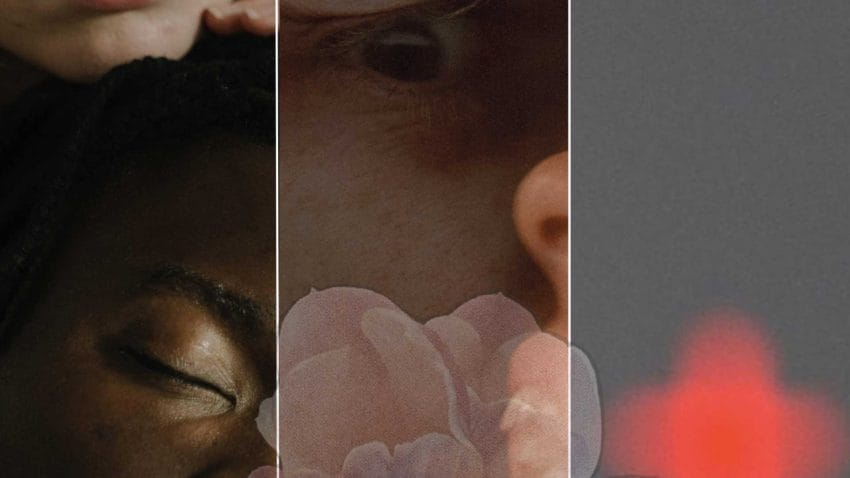 Three segments of artwork. One shows a man's face, the other shows a pattern of a flower.